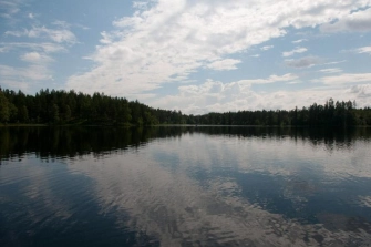 Cut in half Cut in half