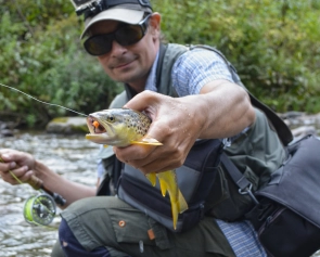 Another wild beauty, hungry for grasshoppers Another wild beauty, hungry for grasshoppers