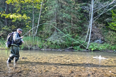 Great fighters Great fighters