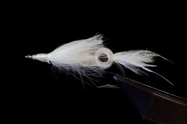 Squid Plus Three Squid Plus Three