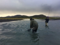 A helping hand A helping hand