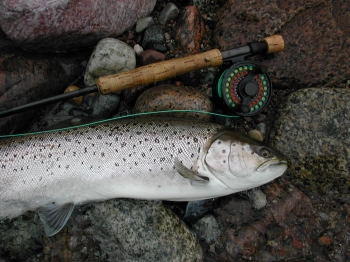 Large but slim Large but slim