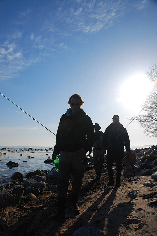 Preparing for the evening Preparing for the evening