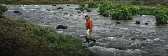 Kasper crossing th stream Kasper crossing th stream