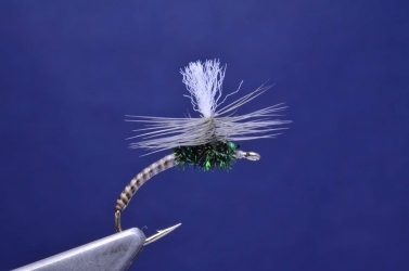 Quill bodied Klinkhamer Quill bodied Klinkhamer