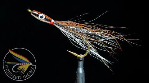 Video thumb for Thunder Creek - Blacknose Dace