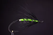 User submitted picture: The Dragon