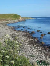 User submitted picture: Coastline