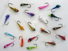 User submitted picture: Did you make your choice?