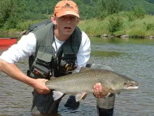 User submitted picture: Summer Atlantic Salmon, h...