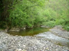 User submitted picture: small stream of the basin...