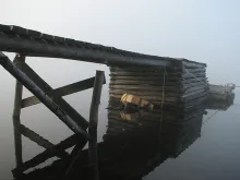 User submitted picture: A bridge in the mist.