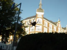 User submitted picture: A Mid-city Monster - take...