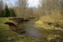 User submitted picture: Nice spring day