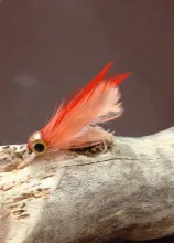 User submitted picture: The Orange Blossom is bui...