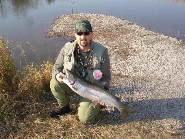 User submitted picture: Steelhead caught with my ...