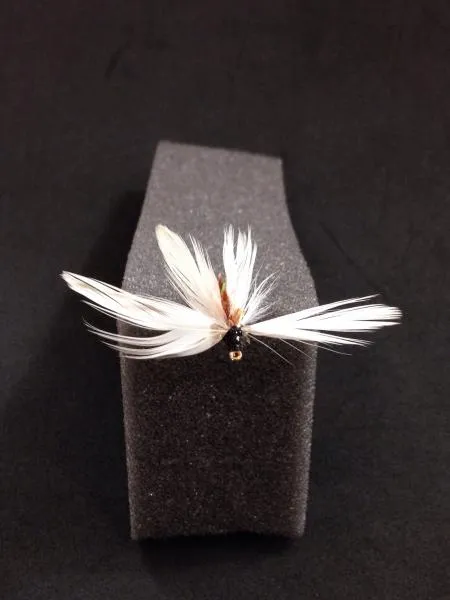 User submitted picture: "White Glider" built on...