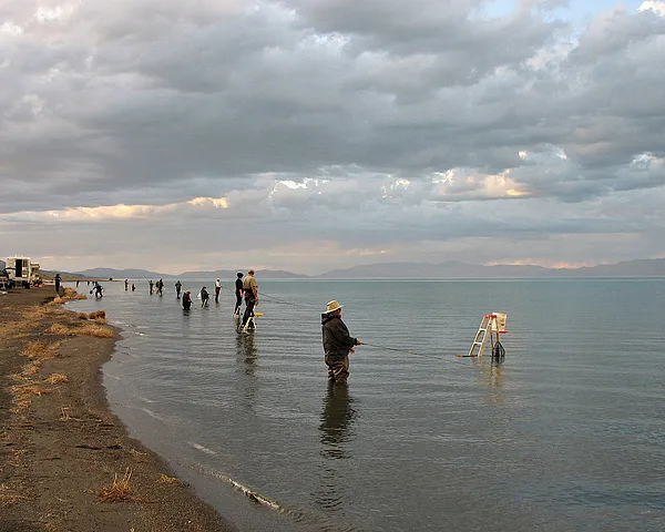 User submitted picture: Member of San Jose flycas...