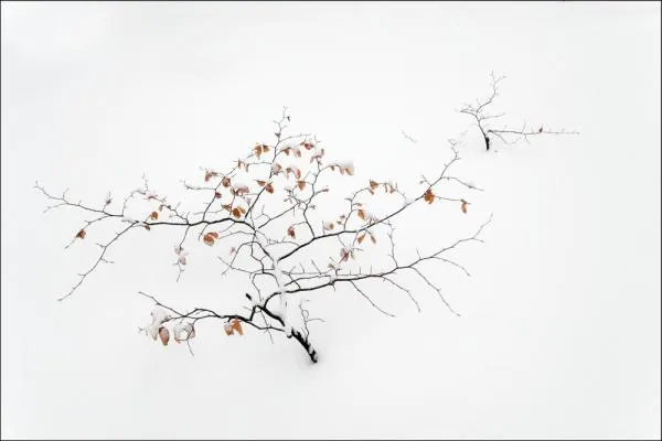 User submitted picture: ***