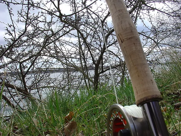 User submitted picture: Gear