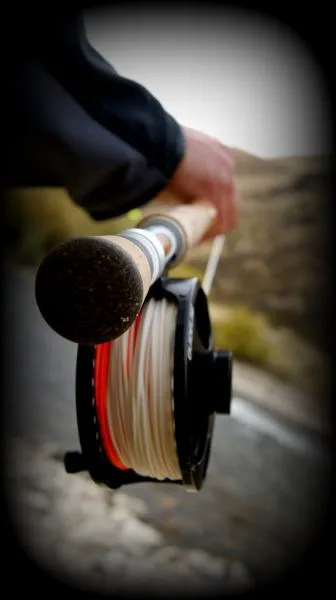 User submitted picture: South Fork of the boise e...