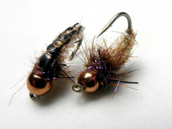 User submitted picture: Tan Luccent larva