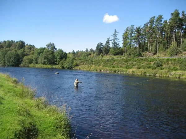 User submitted picture: Speycasting River Spey