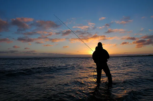 User submitted picture: Looking for Sea trout.