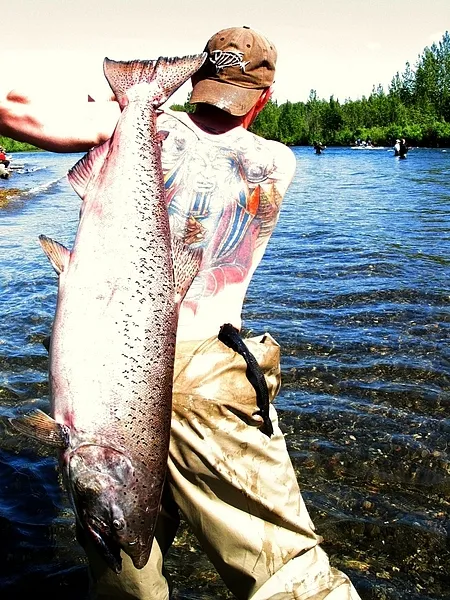 User submitted picture: A diff. salmon pic fra La...